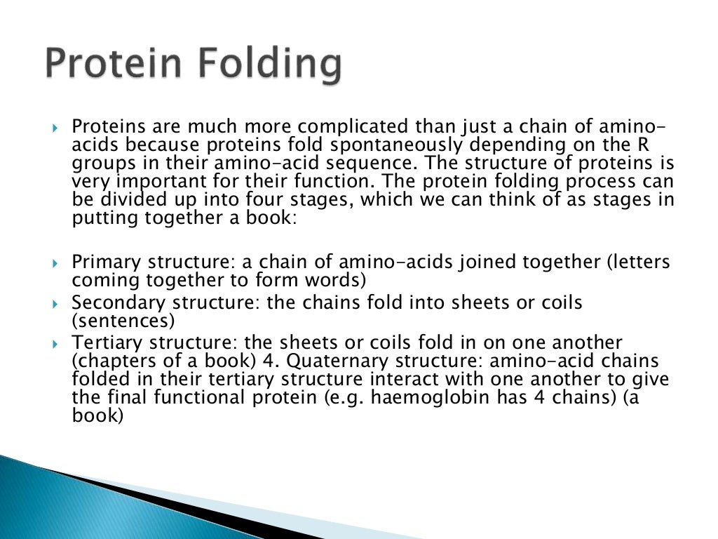 Protein folding