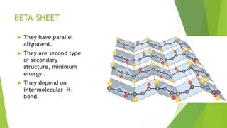 BETA-SHEET
 They have parallel
alignment.
 They are second type
of secondary
structure, minimum
energy .
 They depend on
intermolecular H-
bond.
 