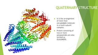 QUATERNARY STRUCTURE
 It is the arrangement
of more than
one protein molecule
in a multi-subunit
complex.
 Protein consisting of
two or more
polypeptides are also
termed as
OLIGOMERS.
 