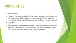 PROPERTIES
1. Denaturation:
 Partial or complete unfolding of the native (natural) conformation of
the polypeptide chain is known as denaturation. This is caused by
heat, acids, alkalies, alcohol, acetone, urea, beta- mercaptoethanol.
2. Coagulation:
 When proteins are denatured by heat, they form insoluble aggregates
known as coagulum. All the proteins are not heat coagulable, only a
few like the albumins, globulins are heat coagulable.
 