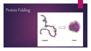 Protein Folding
 