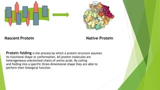 Nascent Protein Native Protein
Protein folding is the process by which a protein structure assumes
its functional shape or conformation. All protein molecules are
heterogeneous unbranched chains of amino acids. By coiling
and folding into a specific three-dimensional shape they are able to
perform their biological function.
 
