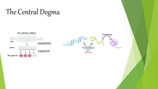 The Central Dogma
 