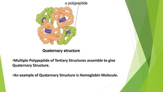 •Multiple Polypeptide of Tertiary Structures assemble to give
Quaternary Structure.
•An example of Quaternary Structure is Hemoglobin Molecule.
 