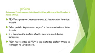 prions
Prions are Proteinaceous Infectious Particles which acts like Virus but is
never a Virus.
PRNP Is a gene on Chromosome No.20 that Encodes for Prion
Protein.
Prion protein Represented as prpc Is the normal cellular Prion
Protein.
 It is found on the surface of cells, Neurons (used during
Synapses).
Prion Represented as PRPsc Is the misfolded protein Where sc
represent its Scrapie Form.
 