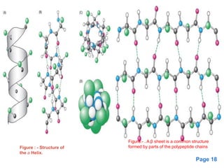 Page 18
Figure:- . A β sheet is a common structure
formed by parts of the polypeptide chainsFigure : - Structure of
the a Helix.
 