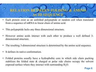 Page 6
RELATION BETWEEN FOLDING & AMINO
ACID SEQUENCE
• Each protein exist as an unfolded polypeptide or random coil when translated
from a sequence of mRNA to linear chain of amino acid.
• This polypeptide lacks any three dimensional structure.
• However amino acids interact with each other to produce a well defined 3-
dimensional structure.
• The resulting 3-dimensional structure is determined by the amino acid sequence.
• It defines its native conformation.
• Folded proteins usually have a hydrophobic core in which side chain packing
stabilizes the folded state & charged or polar side chains occupy the solvent
exposed surface where they interact with surrounding H2O.
 
