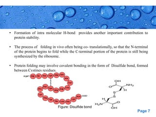 Page 7
• Formation of intra molecular H-bond provides another important contribution to
protein stability.
• The process of folding in vivo often being co- translationally, so that the N-terminal
of the protein begins to fold while the C-terminal portion of the protein is still being
synthesized by the ribosome.
• Protein folding may involve covalent bonding in the form of Disulfide bond, formed
between Cystines residues.
Figure: Disulfide bond
 