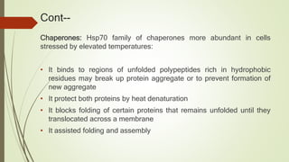 Cont--
Chaperones: Hsp70 family of chaperones more abundant in cells
stressed by elevated temperatures:
• It binds to regions of unfolded polypeptides rich in hydrophobic
residues may break up protein aggregate or to prevent formation of
new aggregate
• It protect both proteins by heat denaturation
• It blocks folding of certain proteins that remains unfolded until they
translocated across a membrane
• It assisted folding and assembly
 