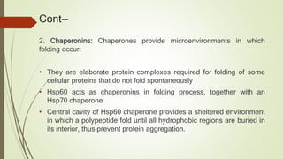 Cont--
2. Chaperonins: Chaperones provide microenvironments in which
folding occur:
• They are elaborate protein complexes required for folding of some
cellular proteins that do not fold spontaneously
• Hsp60 acts as chaperonins in folding process, together with an
Hsp70 chaperone
• Central cavity of Hsp60 chaperone provides a sheltered environment
in which a polypeptide fold until all hydrophobic regions are buried in
its interior, thus prevent protein aggregation.
 