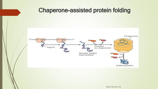 Chaperone-assisted protein folding
Fig.8.23: The Cell, 4th Ed
 