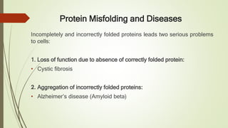 Protein Misfolding and Diseases
Incompletely and incorrectly folded proteins leads two serious problems
to cells:
1. Loss of function due to absence of correctly folded protein:
• Cystic fibrosis
2. Aggregation of incorrectly folded proteins:
• Alzheimer’s disease (Amyloid beta)
 