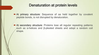 Denaturation at protein levels
 At primary structure: Sequence of aa held together by covalent
peptide bonds, is not disrupted by denaturation.
 At secondary structure: Proteins lose all regular repeating patterns
such as α-helices and β-pleated sheets and adopt a random coil
shape.
 