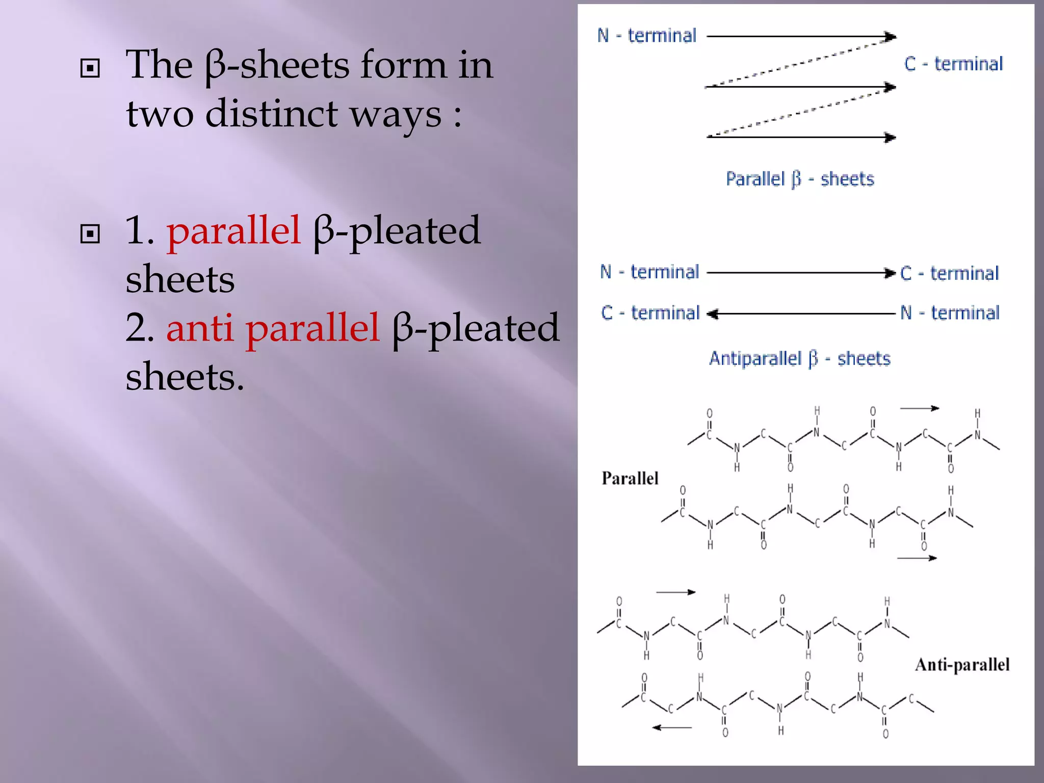  The β-sheets form in
two distinct ways :
 1. parallel β-pleated
sheets
2. anti parallel β-pleated
sheets.
 