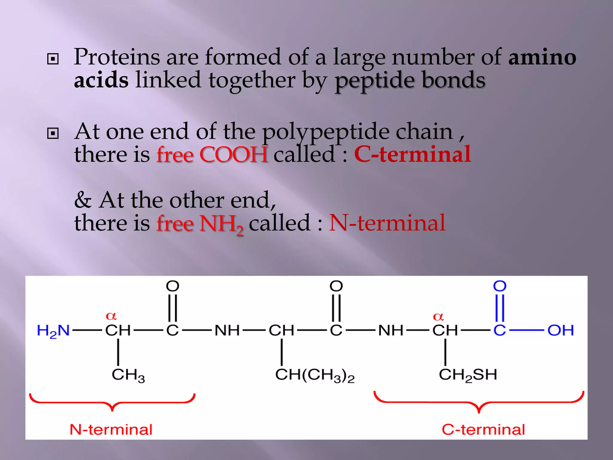  Proteins are formed of a large number of amino
acids linked together by peptide bonds
 At one end of the polypeptide chain ,
there is free COOH called : C-terminal
& At the other end,
there is free NH2 called : N-terminal
 