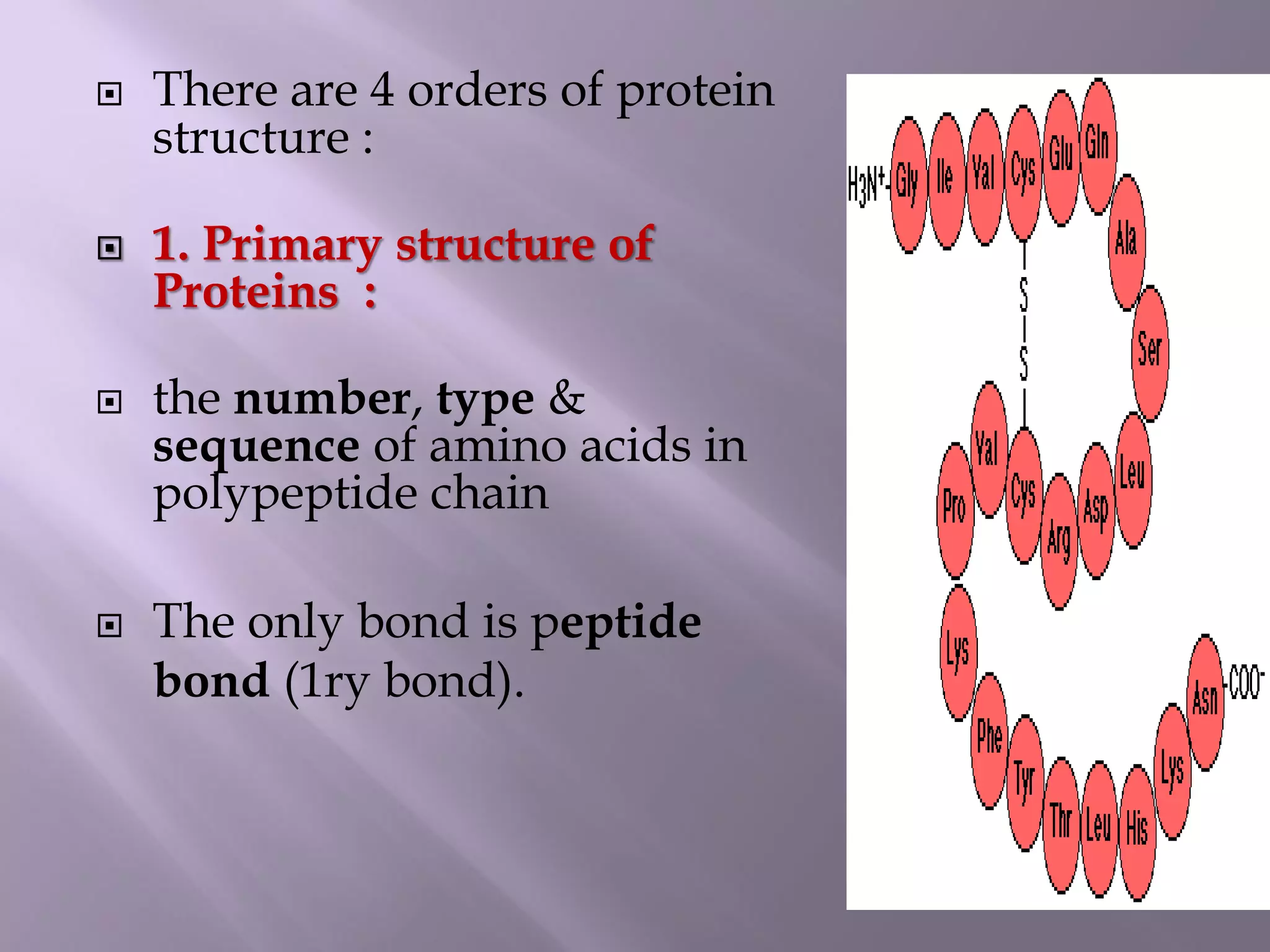  There are 4 orders of protein
structure :
 1. Primary structure of
Proteins :
 the number, type &
sequence of amino acids in
polypeptide chain
 The only bond is peptide
bond (1ry bond).
 