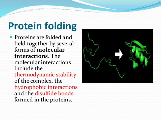 Protein Folding Mechanism