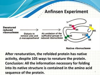 6
Anfinsen Experiment
After renaturation, the refolded protein has native
activity, despite 105 ways to renature the protein.
Conclusion: All the information necessary for folding
into its native structure is contained in the amino acid
sequence of the protein.
 