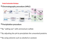 Advanced Protein Fractionation Techniques with Ultrafiltration in Food ...