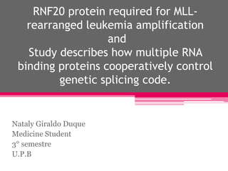 RNF20 protein required for MLL-
   rearranged leukemia amplification
                   and
   Study describes how multiple RNA
 binding proteins cooperatively control
         genetic splicing code.


Nataly Giraldo Duque
Medicine Student
3° semestre
U.P.B
 