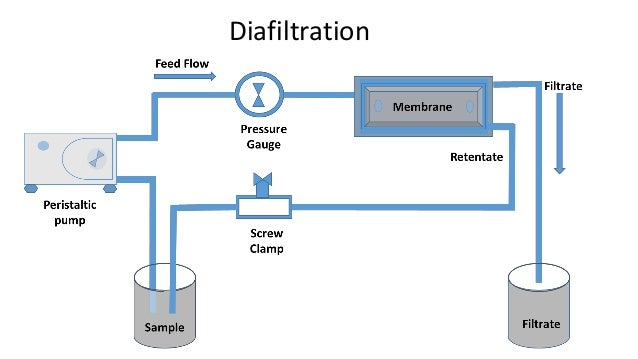 diafiltration