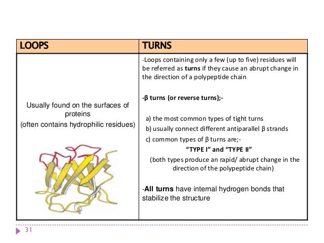 Protein structure