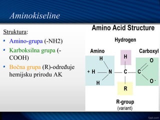 Aminokiseline
Struktura:
Amino-grupa (-NH2)
Karboksilna grupa (-
COOH)
Bočna grupa (R)-određuje
hemijsku prirodu AK
 
