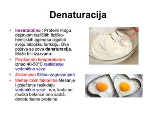 Denaturacija
• Ireverzibilno : Proteini mogu
dejstvom različitih fizičko-
hemijskih agenasa izgubiti
svoju biološku funkciju. Ova
pojava se zove denaturacija.
Može biti izazvana:
• Povišenom temperaturom
iznad 40-50C raskidanje
vodonične veze
• Zračenjem Slično zagrevanjem
• Mehaničkim faktorima Mešanje
i gnječenje raskidaju
vodonične veze , npr, kada se
mućka belance ono sadrži
denaturisane proteine.
 
