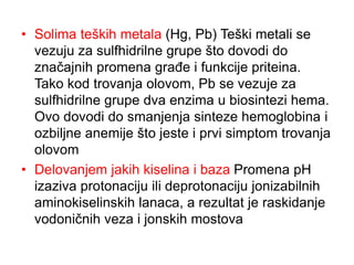 • Solima teških metala (Hg, Pb) Teški metali se
vezuju za sulfhidrilne grupe što dovodi do
značajnih promena građe i funkcije priteina.
Tako kod trovanja olovom, Pb se vezuje za
sulfhidrilne grupe dva enzima u biosintezi hema.
Ovo dovodi do smanjenja sinteze hemoglobina i
ozbiljne anemije što jeste i prvi simptom trovanja
olovom
• Delovanjem jakih kiselina i baza Promena pH
izaziva protonaciju ili deprotonaciju jonizabilnih
aminokiselinskih lanaca, a rezultat je raskidanje
vodoničnih veza i jonskih mostova
 