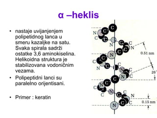 α –heklis
• nastaje uvijanjenjem
polipetidnog lanca u
smeru kazaljke na satu.
Svaka spirala sadrži
ostatke 3,6 aminokiselina.
Helikoidna struktura je
stabilizovana vodoničnim
vezama.
• Polipeptidni lanci su
paralelno orijentisani.
• Primer : keratin
 