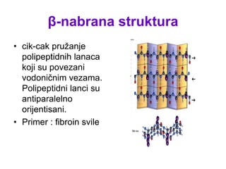 β-nabrana struktura
• cik-cak pružanje
polipeptidnih lanaca
koji su povezani
vodoničnim vezama.
Polipeptidni lanci su
antiparalelno
orijentisani.
• Primer : fibroin svile
 