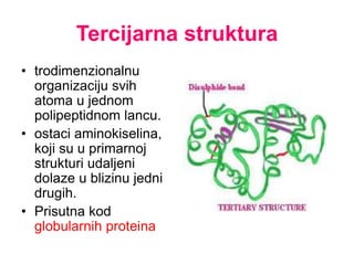 Tercijarna struktura
• trodimenzionalnu
organizaciju svih
atoma u jednom
polipeptidnom lancu.
• ostaci aminokiselina,
koji su u primarnoj
strukturi udaljeni
dolaze u blizinu jedni
drugih.
• Prisutna kod
globularnih proteina
 