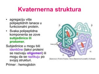 Kvaternerna struktura
• agregaciju više
polipeptidnih lanaca u
funkcionalni protein.
• Svaka polipeptidna
komponenta se zove
subjedinica ili
protomer.
Subjedinice u mogu biti
identične (takvi proteini
se nazivaju oligomeri) ili
mogu da se razlikuju po
svojoj strukturi.
Primer : hemoglobin
 