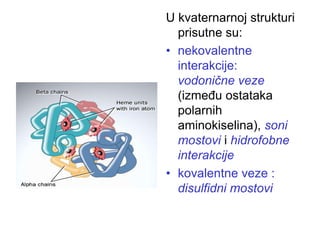 U kvaternarnoj strukturi
prisutne su:
• nekovalentne
interakcije:
vodonične veze
(između ostataka
polarnih
aminokiselina), soni
mostovi i hidrofobne
interakcije
• kovalentne veze :
disulfidni mostovi
 