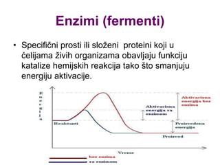 Enzimi (fermenti)
• Specifični prosti ili složeni proteini koji u
ćelijama živih organizama obavljaju funkciju
katalize hemijskih reakcija tako što smanjuju
energiju aktivacije.
 