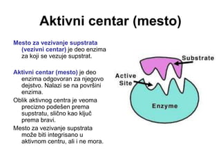 Aktivni centar (mesto)
Mesto za vezivanje supstrata
(vezivni centar) je deo enzima
za koji se vezuje supstrat.
Aktivni centar (mesto) je deo
enzima odgovoran za njegovo
dejstvo. Nalazi se na površini
enzima.
Oblik aktivnog centra je veoma
precizno podešen prema
supstratu, slično kao ključ
prema bravi.
Mesto za vezivanje supstrata
može biti integrisano u
aktivnom centru, ali i ne mora.
 