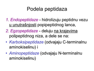 Podela peptidaza
1. Endopeptidaze - hidrolizuju peptidnu vezu
u unutrašnjosti popipeptidnog lanca,
2. Egzopeptidaze - deluju na krajevima
polipeptidnog niza, a dele se na:
• Karboksipeptidaze (odvajaju C-terminalnu
aminokiselinu) i
• Aminopeptidaze (odvajaju N-terminalnu
aminokiselinu)
 