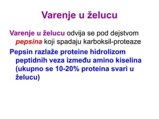 Varenje u želucu
Varenje u želucu odvija se pod dejstvom
pepsina koji spadaju karboksil-proteaze
Pepsin razlaže proteine hidrolizom
peptidnih veza između amino kiselina
(ukupno se 10-20% proteina svari u
želucu)
 
