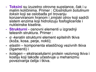 - Toksini su izuzetno otrovne supstance, čak i u
malim količinima. Primer : Clostridium botulinum
toksin koji se oslobađa pri trovanju
konzerviranom hranom i zmijski otrov koji sadrži
sistem enzima koji hidrolizuju fosfogliceride i
nukleinske kiseline.
- Strukturni - osnovni elementi u izgradnji
telesnih struktura. Primer :
- α -keratin strukturni element epitelnih tkiva
(koža, kosa, perje, nokti);
- elastin – komponenta elastičnog vezivnih tkiva
(ligamenti) i
- kolagen – ekstracelularni protein vezivnog tkiva i
kostiju koji takođe učestvuje u mehanizmu
povezivanja ćelija i tkiva.
 