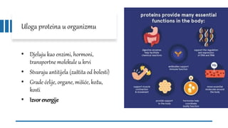Uloga proteina u organizmu
• Djeluju kao enzimi, hormoni,
transportne molekule u krvi
• Stvaraju antitijela (zaštita od bolesti)
• Grade ćelije, organe, mišiće, kožu,
kosti
• Izvor energije
 