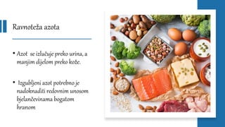 Ravnoteža azota
• Azot se izlučuje preko urina, a
manjim dijelom preko kože.
• Izgubljeni azot potrebno je
nadoknaditi redovnim unosom
bjelančevinama bogatom
hranom
 