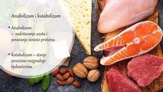 Anabolizam i katabolizam
• Anabolizam
= zadržavanje azota i
povećanje sinteze proteina
• Katabolizam = stanje
povećane razgradnje
bjelančevina.
 