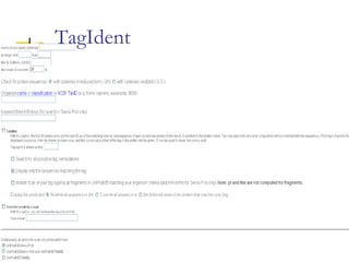 AACompIdent
TagIdent
 