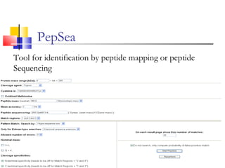 Tool for identification by peptide mapping or peptide
Sequencing
PepSea
 