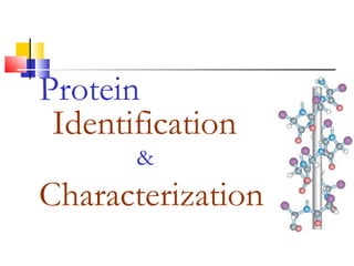 Protein
Identification
&
Characterization
 
