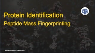 Peptide Mass Fingerprinting
Creative Proteomics-Presentation
Protein Identification
 