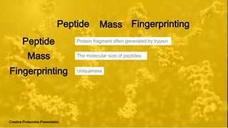 Peptide
Creative Proteomics-Presentation
Protein fragment often generated by trypsin
The molecular size of peptides
Uniqueness
Mass Fingerprinting
Mass
Fingerprinting
Peptide
 