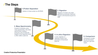 1.Protein Separation
Isolation of intact protein by 2D-PAGE. 2. Digestion
Digestion of protein into small
peptides by proteolytic treatment.
Trypsin is the favored enzyme for
PMF.
3. Mass Spectrometry
Analysis of peptides using
mass spectrometry. The mass
spectrometric analysis
produces a list of molecular
weights of the fragments which
is often called a peak list.
4. In silico Digestion
In silico digestion of
database proteins and
generation of theoretical
peak list.
5. Comparison
Comparison of peak
list and theoretical
peak list to get best
match.
The Steps
Creative Proteomics-Presentation
 