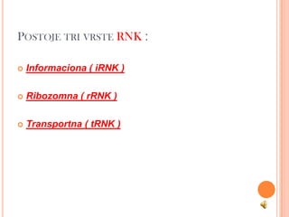 POSTOJE TRI VRSTE RNK :

   Informaciona ( iRNK )

   Ribozomna ( rRNK )

   Transportna ( tRNK )
 