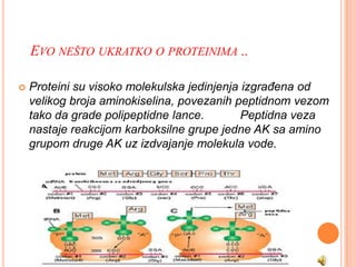 EVO NEŠTO UKRATKO O PROTEINIMA ..

   Proteini su visoko molekulska jedinjenja izgraĎena od
    velikog broja aminokiselina, povezanih peptidnom vezom
    tako da grade polipeptidne lance.        Peptidna veza
    nastaje reakcijom karboksilne grupe jedne AK sa amino
    grupom druge AK uz izdvajanje molekula vode.
 